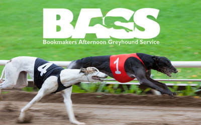 The BAGS Greyhound TV channel 