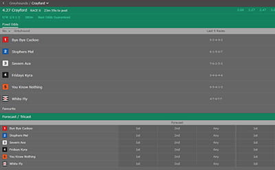 bet365 race card