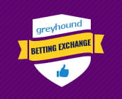 Betting exchange logo