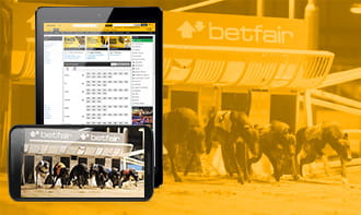 Betfair Mobile Betting App