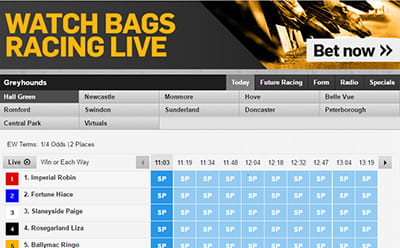 Betfair greyhounds betting site 