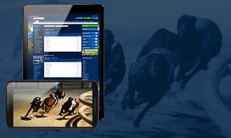 Betfred Greyhound Racing App