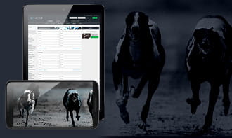Bet Victor Greyhound Racing App
