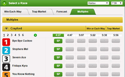 Coral greyhound multiples bet manager
