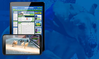 Coral mobile betting app