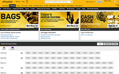 Betfair betting exchange