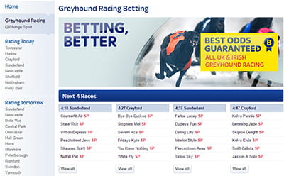 Skybet Homepage Skybet Homepage Greyhound Selection Skybet Skybet Homepage Skybet Homepage Greyhound Selection Skybet