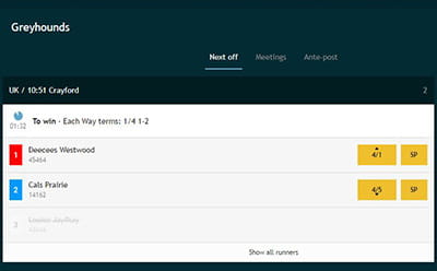 Greyhound racing bet selection Grosvenor