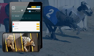 Grosvenor mobile betting app greyhound racing directory