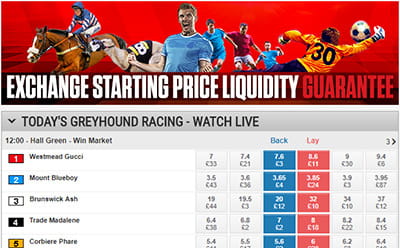 Ladbrokes greyhounds exchange platform