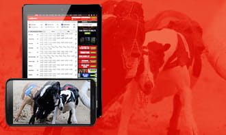 Ladbrokes mobile betting app