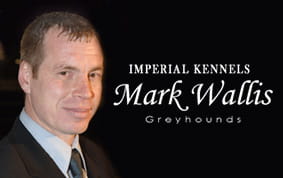 Mark Wallis