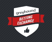 Unique greyhound betting at the Matchbook exchange