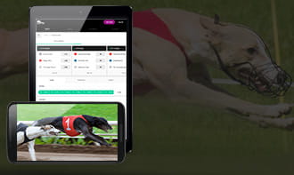 MoPlay mobile betting app