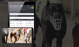 NetBet mobile