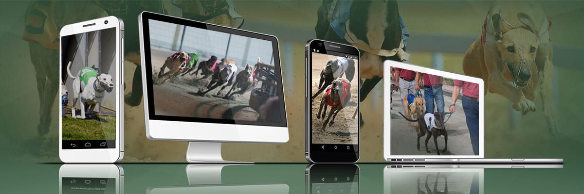 New betting sites have platforms on desktop and mobile devices