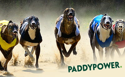 Paddy Power greyhound promotion