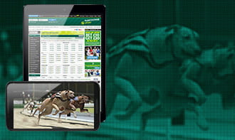 Paddy Power mobile betting app