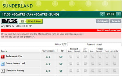 Paddy Power race card