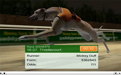 Paddy Power virtual racing