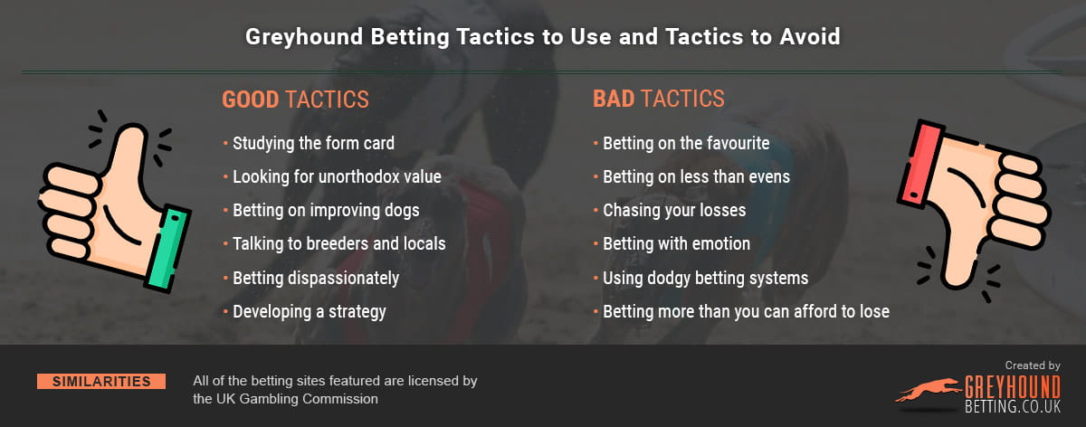 The pros and cons of utilising betting tips in greyhound racing
