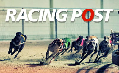 The Racing Post Greyhound TV channel 