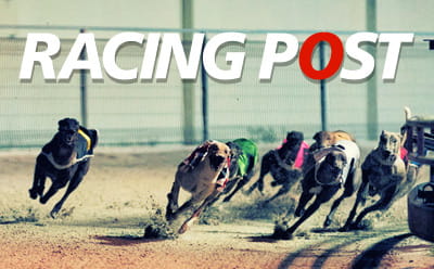 greyhound racing tips racing post