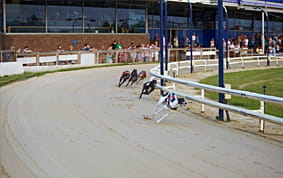 Romford granstand