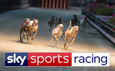 The Sky Racing Greyhound TV channel 