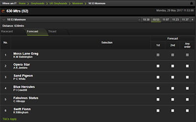 Titanbet greyhound forecast bettin