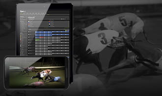 Titanbet Greyhound Racing Mobile App