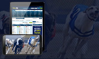 William Hill mobile betting app