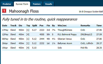 William Hill greyhound form guide