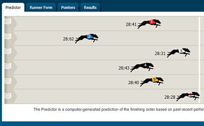 William Hill race predictor