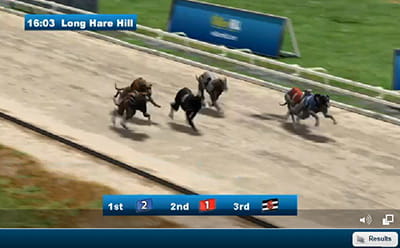 William Hill virtual racing