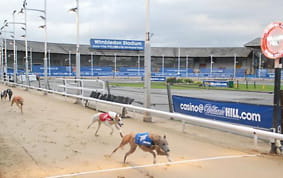 Wimbledon Racecourse Logo